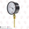 ترمومتر | گیج دما POWER T131.100 0-100 c پاورکنترل